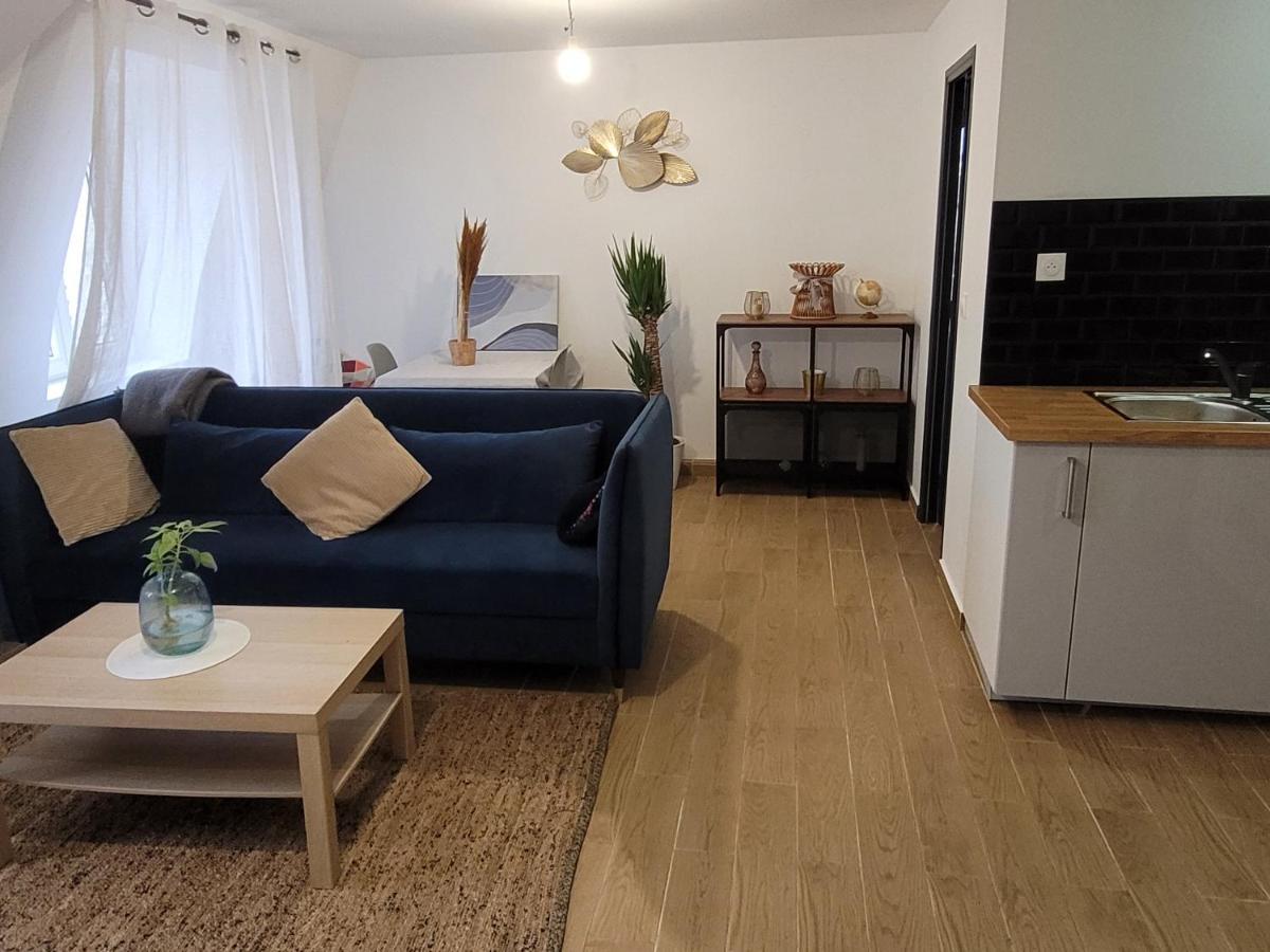 Coquet A 15mn De Paris Et 10 Mn De Stade De France, Wifi, Netflix, Apartment Groslay